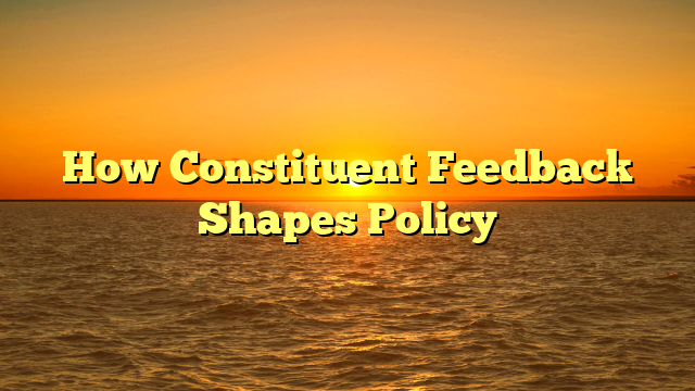 How Constituent Feedback Shapes Policy